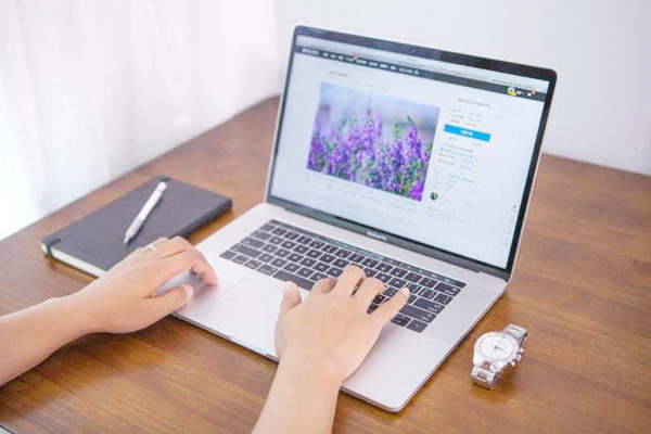 互动网站建设公司设计的网站有哪些特色